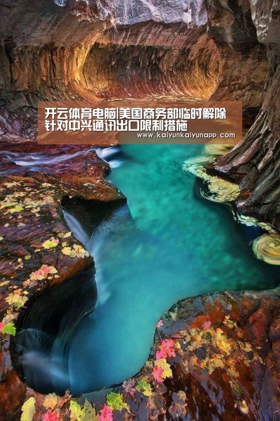 开云体育电脑