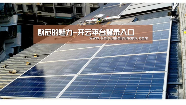 欧冠的魅力-开云平台登录入口