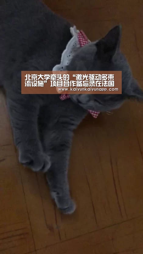开云体育电脑
